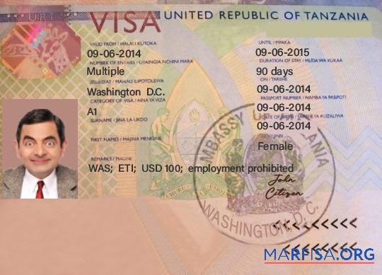 Printable Tanzania travel visa real example